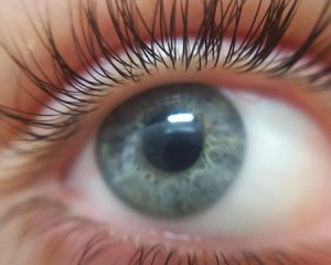 5 Idiotsäkra Ögonfransserum – Bäst i Test För De Bästa Ögonfransserumen